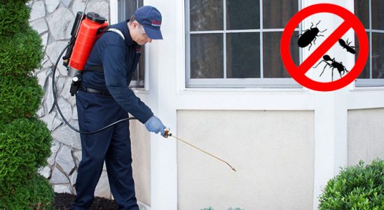 Sapanca Kemirgen İlaçlama böcek ilaçlama ve haşere kontrolü — ilaclama-tr.com
